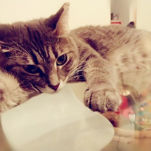 Meet your Posher, Mari - Picture 3 of 8